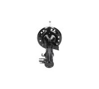 KAVO PARTS SSA-10408 Amortisseur