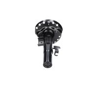 KAVO PARTS SSA-11436 Amortisseur