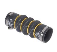 Kavolet Coup de Turbo de Refroidisseur Intermédiaire, Charge de Chargeur en Caoutchouc Remplacement du Tuyau de Connexion 0382nn pour Berlingo C4 DS4, OE 0382NP 9683725580