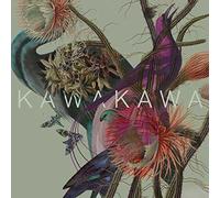Kawakawa - Island Species [Import]