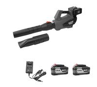 Kawapower Souffleur à Batterie 18 + 18 V, 2 x 4 Ah, 18 V, 650 W