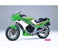 Kawasaki Kr250 (Kr250A) Moto Maquette En Plastique 1:12 HASEGAWA