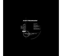 Kaytranada – Nothin Like U / Chances – Vinyle LP 150 g – Neuf – RCA