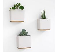 Kazai. Jardinières Murales -Alma- | 3 Pots de Fleurs Suspendus Modernes en Résine | Ensemble de Porte-Plantes pour Plantes d'intérieur, Plantes artificielles et Plus | Crème