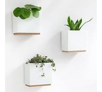 Kazai. Jardinières Murales -Alma- | 3 Pots de Fleurs Suspendus Modernes en Résine | Ensemble de Porte-Plantes pour Plantes d'intérieur, Plantes artificielles et Plus | Blanc