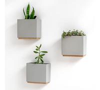Kazai. Jardinières Murales -Alma- | 3 Pots de Fleurs Suspendus Modernes en Résine | Ensemble de Porte-Plantes pour Plantes d'intérieur, Plantes artificielles et Plus | Grise