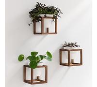 Kazai. Jardinières Murales -Lille- | Pots de Fleurs Suspendus dans des Cadres en Bois Massif | Ensemble de Porte-Plantes en Céramique et Bois pour Murs, Tables et Plus | Brun Noyer