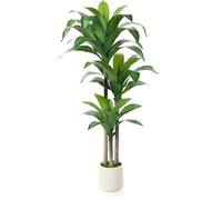 Kazeila Arbre Dragon Artificiel 150cm Fausse Plante en Pot Grande Plante Artificielle Interieur pour Maison Bureau Jardin Décoration(1Pack)
