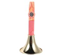 Kazoo en Métal Léger, Facile à Apprendre, Forme Trompette pour | Boîte de Rangement Incluse, Nettoyage Simple, Usage Portable, Adapté aux Mariages et Fêtes, ABS