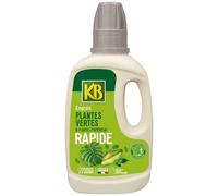 - Engrais Rapide Plantes Vertes Et Plantes D'intérieur 500ml