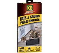 KB HOME DEFENSE HDGLUE2 - Pièges à Glu pour Rats et Souris x 2 - Colle Extra Forte