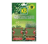 KB Bâtonnets nutritifs plantes vertes