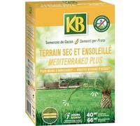 KB KSOL40 Semences de Gazon Terrain Sec et Ensoleillé 1kg - Excellente résistance à la chaleur et la sécheresse - Pour moins d'arrosages - 1kg pour 40m²
