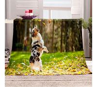 KBDQGX Couverture Polaire en Microfibre Chiot Animal des Bois 3D Imprimée Douce Fluffy Flanelle Couverture De Lit Plaid Canapé Convient Adultes Et Enfants Rester Chaud en Hiver 180X220Cm