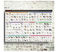 KBIASD Races de Chien Le Diagramme de Chien Art Toile Affiche Photos pour Salon et décor à la maison-50x70cm sans Cadre