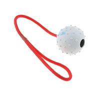 KBOLAE Jouet interactif pour chien et chat avec corde Blanc