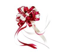 KBRPEY Nœuds Grands Nœuds Tirer Ruban Noeud Voiture Mariage Noeud Décoration pour Mariage Diverses Célébrations Anniversaires Fêtes