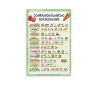 KCDFDVJFBM Beginner's Guide to Companion Planting Poster - Vegetable Garden Planning Chart, Educational Wall-Art for Gardeners(Framed,08x12inch(20x30cm))