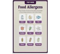 KCDFDVJFBM Big 9 Allergens Poster Food Training Chart Restaurant Kitchen Guide Wall Sign for Cafe Bakery Staff Decor(Unframed,16x24inch(40x60cm))