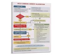 KCDFDVJFBM Cardiac Arrest Algorithm ACLS Quick Reference Poster for Nursing Simulation Medic Training Educational Chart(Framed,08x12inch(20x30cm))