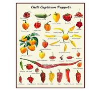 KCDFDVJFBM Chili Pepper Scoville Heat Chart Canvas Art - Informative Kitchen Wall Decor Poster, Gift for Home Chef, Food Lover, Dining Room Decor(Unframed,12x18inch(30x45cm))