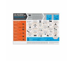 KCDFDVJFBM Declaration of Human Rights Wall-Art Full Text Print for Social Justice and Advocacy(Framed,16x24inch(40x60cm))