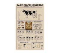 KCDFDVJFBM Detailed Cow Anatomy Poster Milk Production Process Chart Dairy Farm Educational Material for Agriculture University or Ranch Office Decor(Framed,16x24inch(40x60cm))