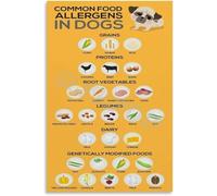 KCDFDVJFBM Dog Food Poster Poisonous Human Food Guide for Dogs What They Can Cannot Eat Wall-Art Chart for Kitchen Vet Office(Unframed,16x24inch(40x60cm))
