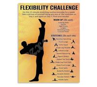 KCDFDVJFBM Dojo Home Gym Poster Martial Arts Flexibility Stretching Routine Training Guide Visual Chart Wall-Art(Unframed,12x18inch(30x45cm))