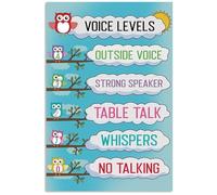 KCDFDVJFBM Educational Owl Wall-Art, Voice Level Chart Poster for Classroom Decor Management, Teacher Gift Idea for Him Her(Unframed,16x24inch(40x60cm))