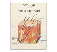 KCDFDVJFBM Esthetician Skin Chart: Human Anatomy Poster for Education and Wall Decor(Unframed,16x24inch(40x60cm))