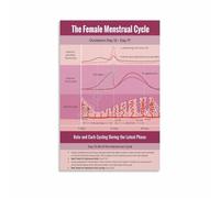 KCDFDVJFBM Female Physiology Chart Menstrual Cycle Hormones Educational Print for Womens Health Study Decor(Unframed,12x18inch(30x45cm))