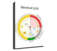 KCDFDVJFBM Fertility Awareness Menstrual Cycle Chart Poster Wall-Art for Home Office(Framed,16x24inch(40x60cm))