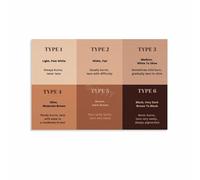 KCDFDVJFBM Fitzpatrick Skin Tone Scale Poster, 6 Skin Types Guide for Makeup Artists, Canvas Wall-Art for Studio Decor (Framed,16x24inch(40x60cm))