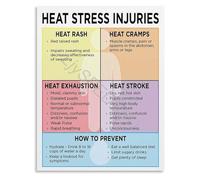 KCDFDVJFBM Four Heat Conditions Awareness Poster | Learn to recognize and respond to heat related illness(Framed,12x18inch(30x45cm))