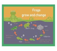 KCDFDVJFBM Frog Life Cycle Educational Poster, Colorful Metamorphosis Diagram for Kids Learning, Science Nature Wall Chart for Home or School(Unframed,16x24inch(40x60cm))