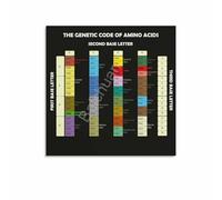 KCDFDVJFBM Genetic Code Amino Acids Codon Chart Poster Biology Reference DNA RNA Translation Science Classroom Wall-Art Canvas Print(Framed,08x12inch(20x30cm))