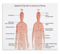 KCDFDVJFBM Guide to Common Hormone Signs Mens Health Educational Poster Wall-Art for Living Room Decor(Framed,12x18inch(30x45cm))