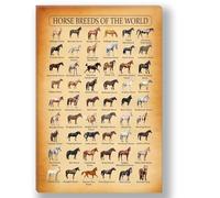 KCDFDVJFBM Horse Breed Illustrated Wall Chart - Vintage Encyclopedia Style Canvas Art for Bathroom, Dining Room, Hallway & Country Home Decor(Framed,08x12inch(20x30cm))