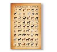 KCDFDVJFBM Horse Lover Gift - World's Horse Breeds Knowledge Poster, Vintage Print Wall Decor for Study, Man Cave, Cabin, Equestrian Enthusiasts (Unframed,12x18inch(30x45cm))