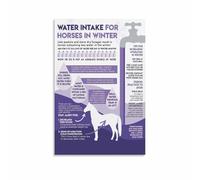 KCDFDVJFBM Horse Winter Water Intake Knowledge for Equine Care and Hydration Guide(Framed,16x24inch(40x60cm))