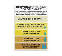 KCDFDVJFBM Hydration Guide Poster - Urine Color Chart and Body Hydration Reference on Canvas, Wall-Art for Health Conscious(Unframed,16x24inch(40x60cm))