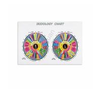 KCDFDVJFBM Iridology Body Correlation Chart, Unframed Canvas Wall-Art Print, Educational Tool for Alternative Medicine, Wellness Center(Framed,08x12inch(20x30cm))