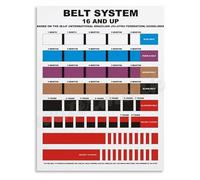 KCDFDVJFBM Martial Arts Belt Progression Poster Jiu Jitsu BJJ All Ranks Chart Canvas Wall-Art for Fight School Home Gym Office Decor(Unframed,16x24inch(40x60cm))