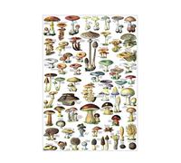 KCDFDVJFBM Mycology Reference Poster Vintage - Mushroom Identification Chart, Antique Botanical Print for Fungi Enthusiasts and Educators(Unframed,08x12inch(20x30cm))