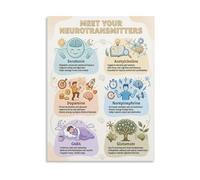 KCDFDVJFBM Neurotransmitters Brain Chemistry Canvas Wall-Art Educational Science Poster for Classroom Psychology Office Decor(Framed,16x24inch(40x60cm))