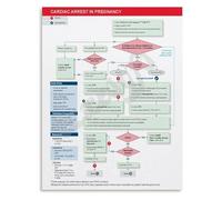 KCDFDVJFBM Obstetric Emergency Poster Cardiac Arrest in Pregnancy Algorithm for Simulation ACLS Training(Unframed,16x24inch(40x60cm))