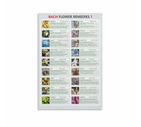 KCDFDVJFBM Plant Lover Wall-Art, Bach Flower Reference Guide Chart Canvas, Botanical Illustration Decor for Study Lounge(Framed,08x12inch(20x30cm))