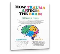KCDFDVJFBM Social Worker Gift Mental Health Art Print How Trauma Affects the Brain Affirmations for Office(Framed,12x18inch(30x45cm))