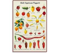 KCDFDVJFBM Spicy Food Lovers Wall-Art Scoville Scale Peppers Heat Chart Poster Canvas Print Gift for Sauce Fans and Grill Masters(Unframed,12x18inch(30x45cm))